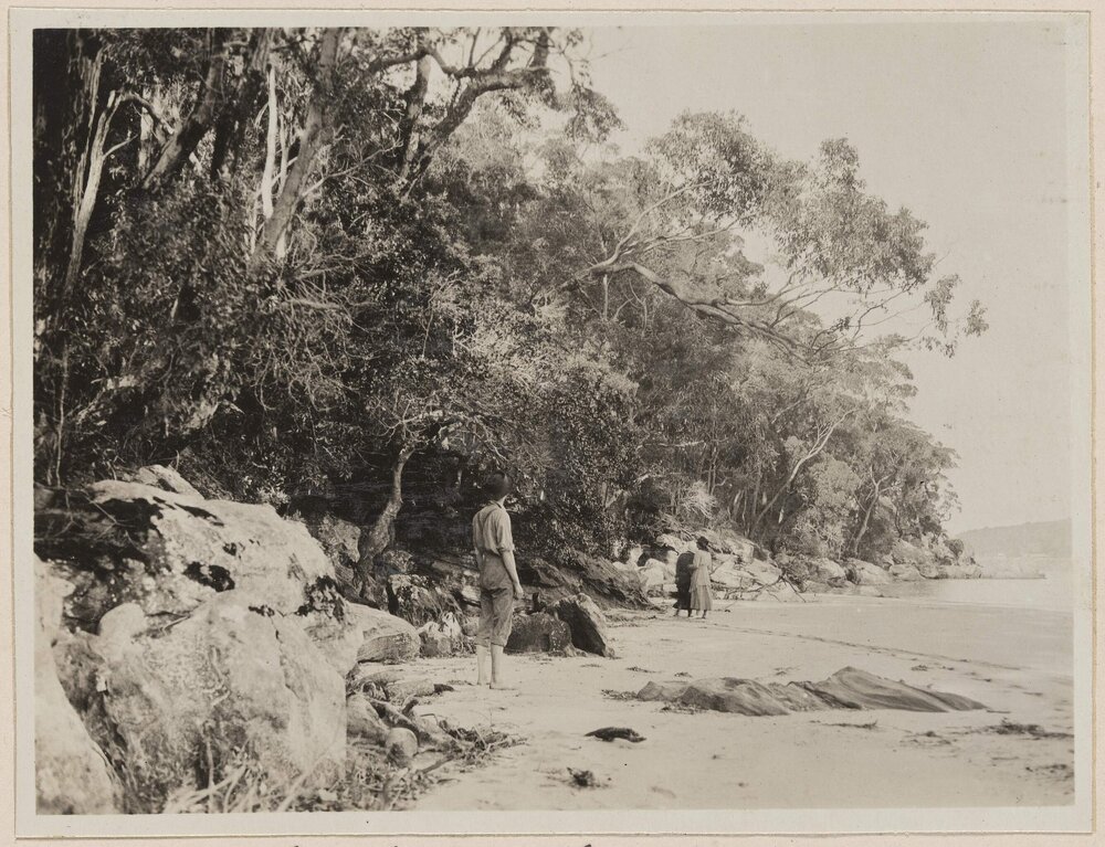 Mackerel Beach, Pittwater [NSW}