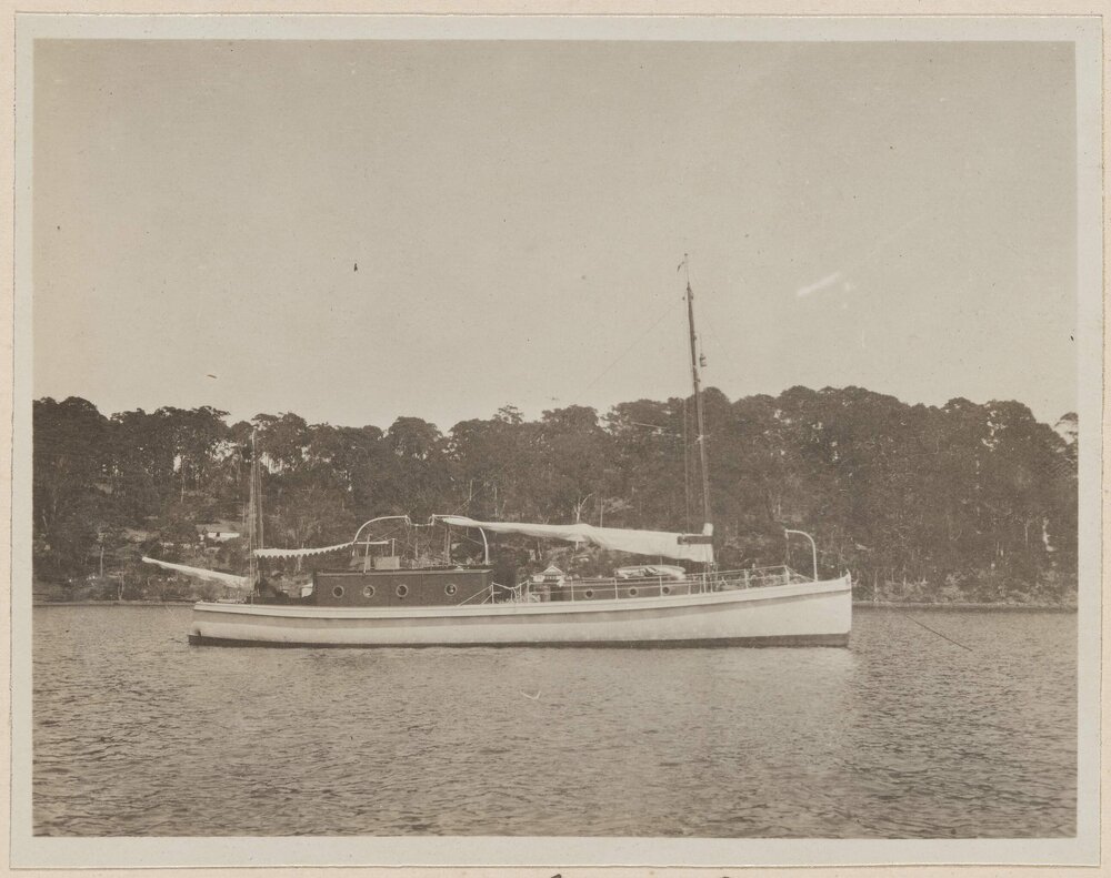 The Modwena in Careel Bay