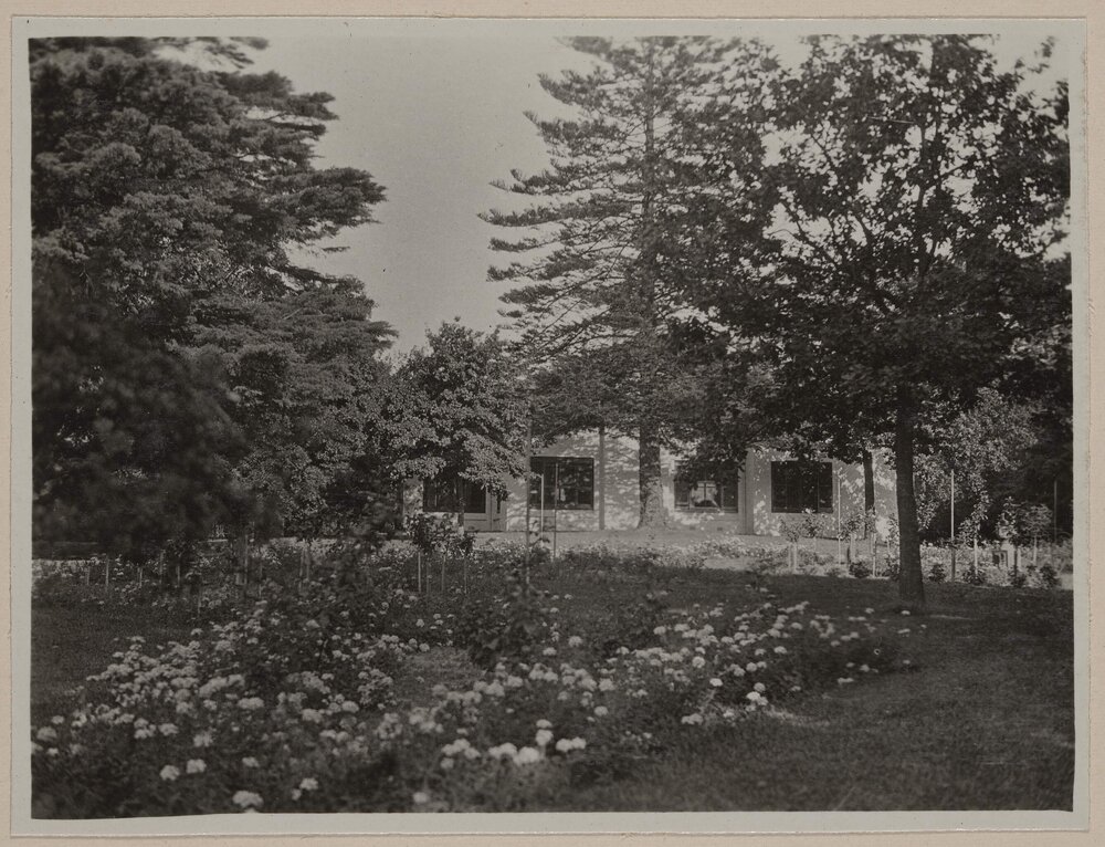 [View of Miegunyah garden and house exterior]