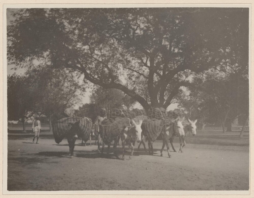 Agra