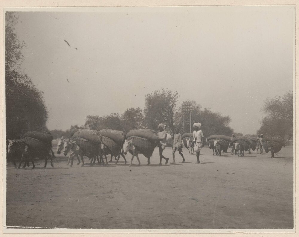 Street traffic at Agra