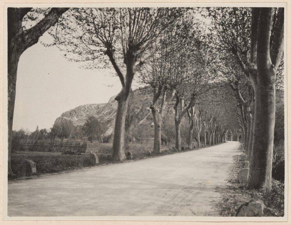 A Rhone Valley road near Valence
