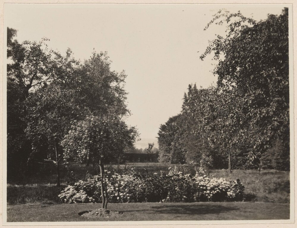 [View of garden]