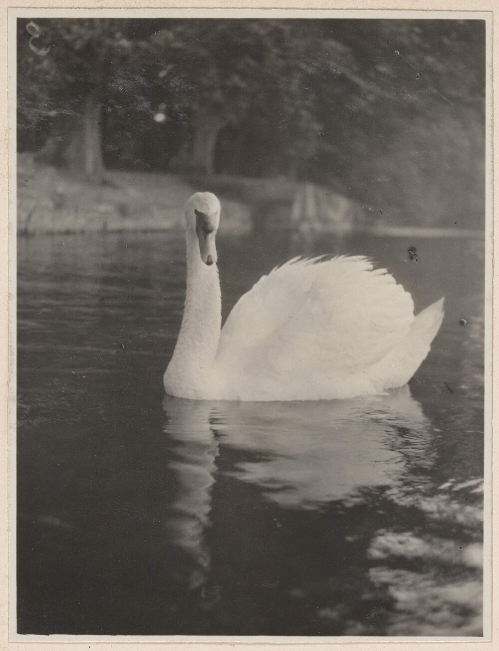Marlow