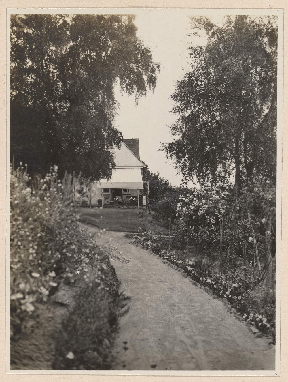 Fairhaven, Haslemere