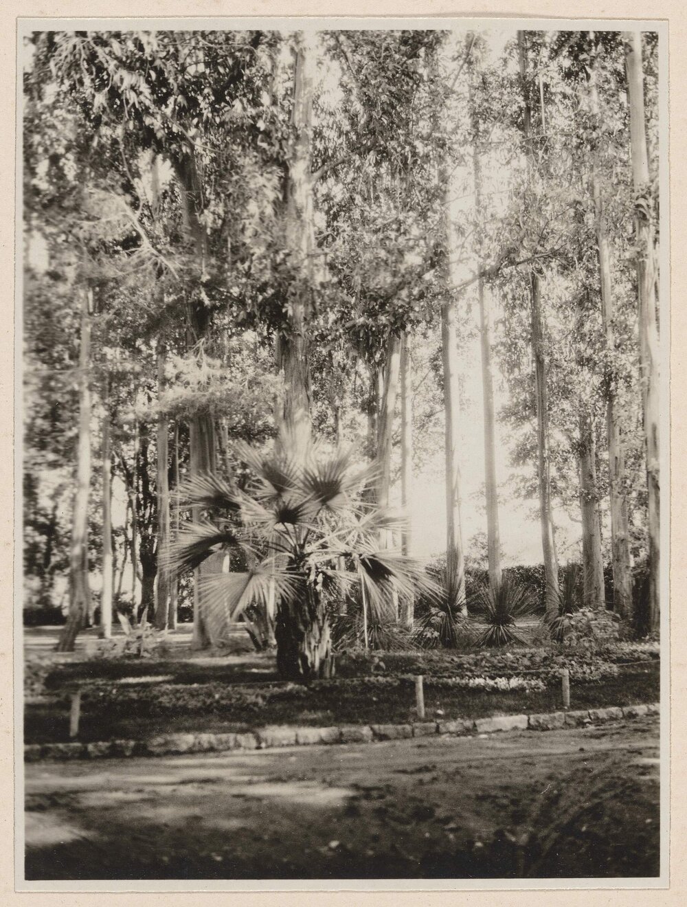 Meriglo and his gums, Golf Hotel - Hyeres