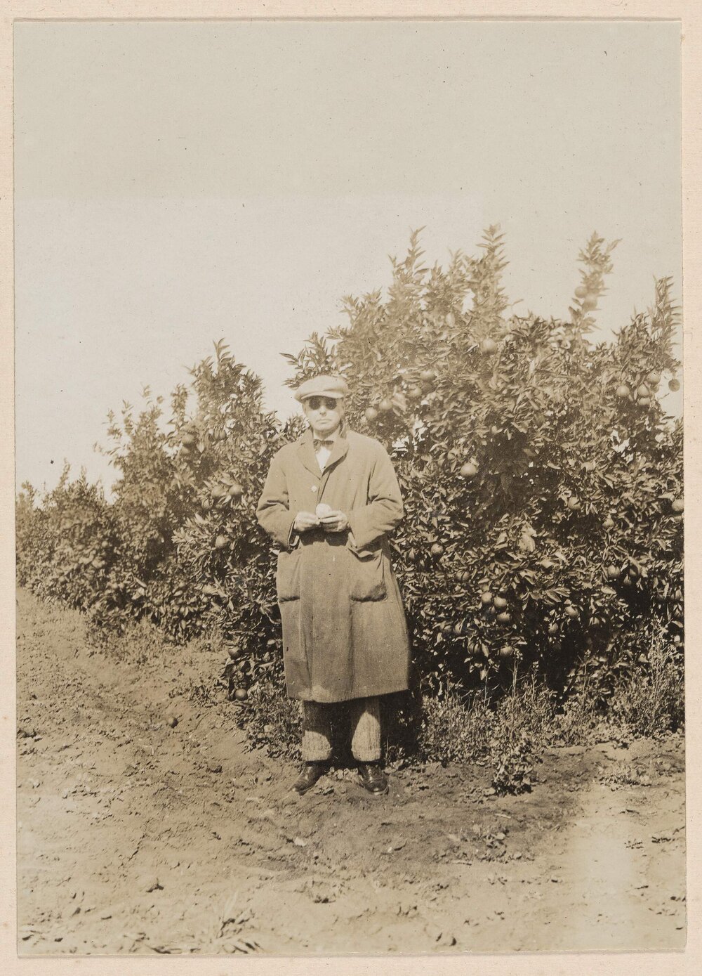 [Man wearing cap and sun glasses posed in front of orchard trees]