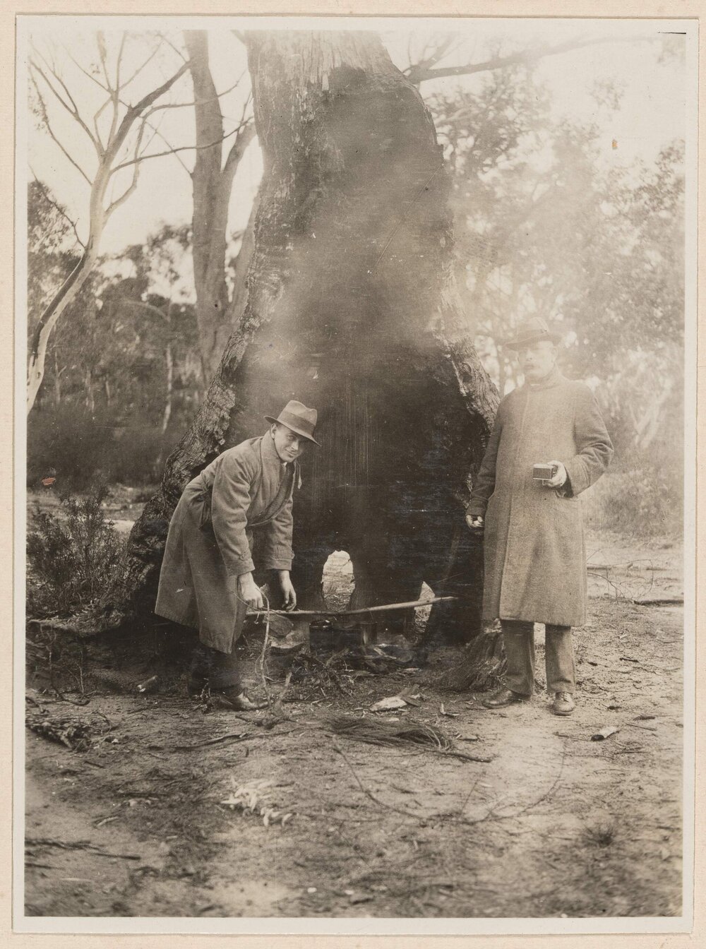 Bulli Pass, New South Wales