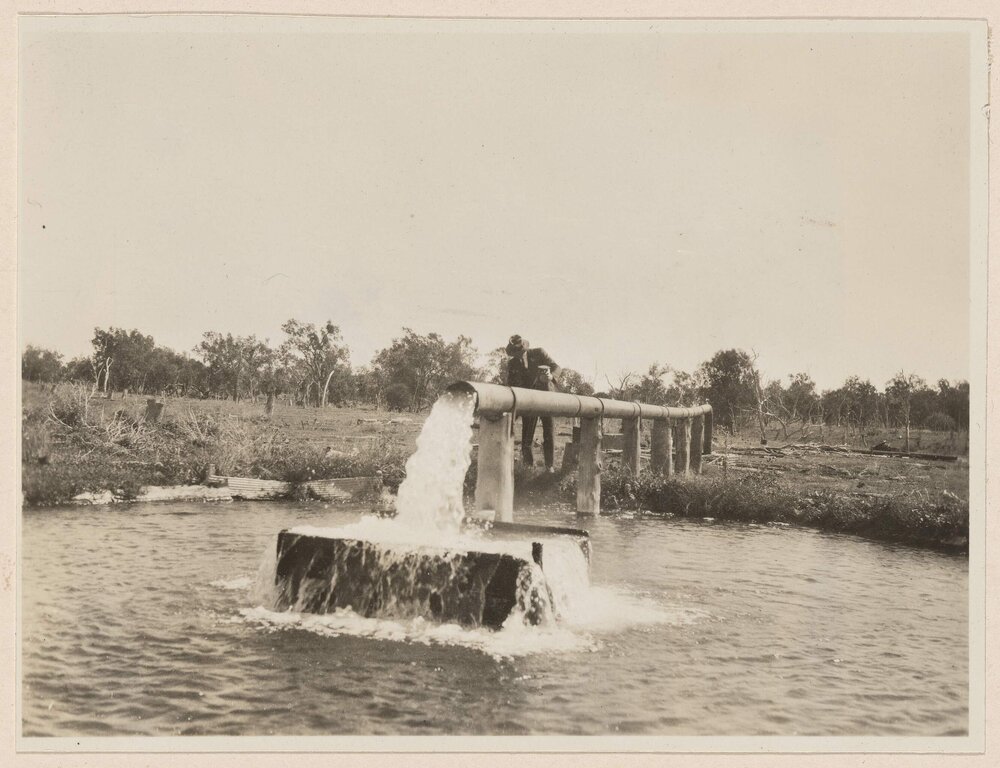 Bore near Goondiwindi