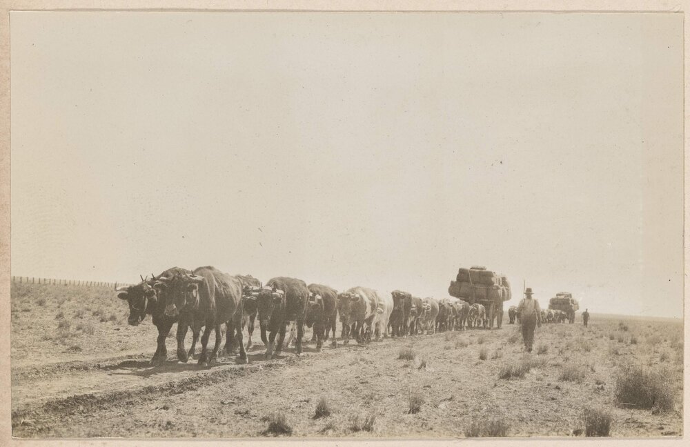 Across the Black Soil Plains