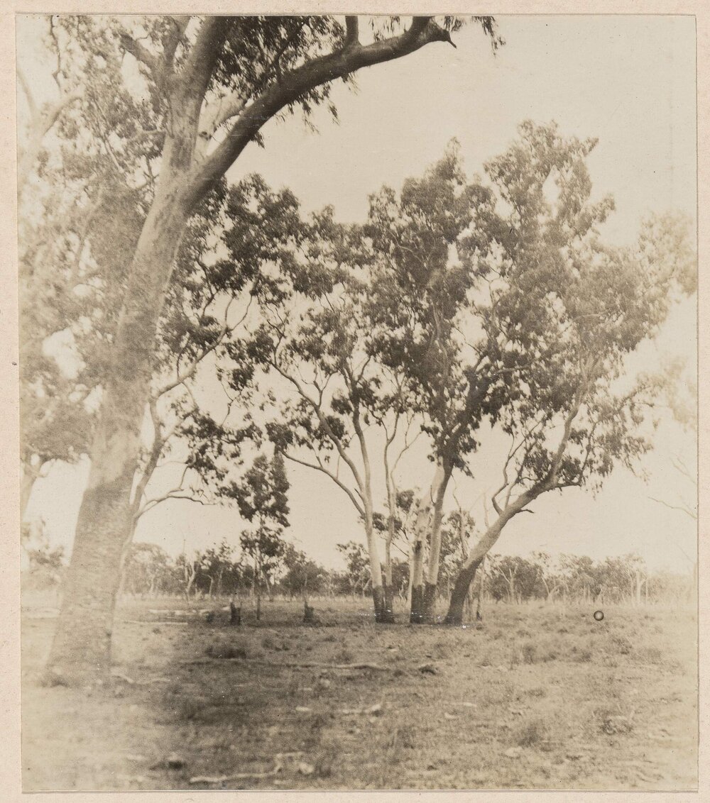 [Carbeens - E. Tesselaris]