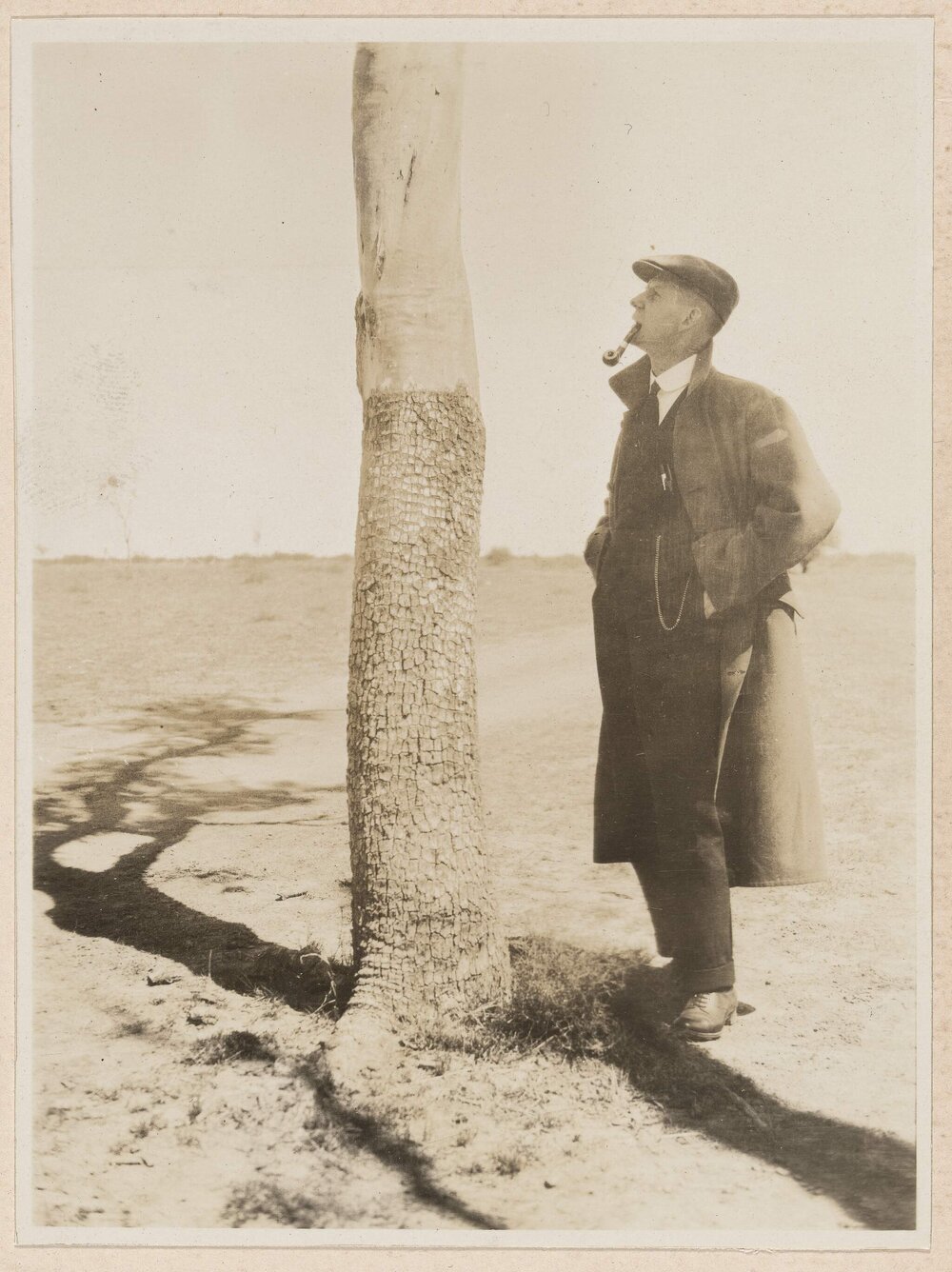 [Man smoking pipe obersving tree trunk]