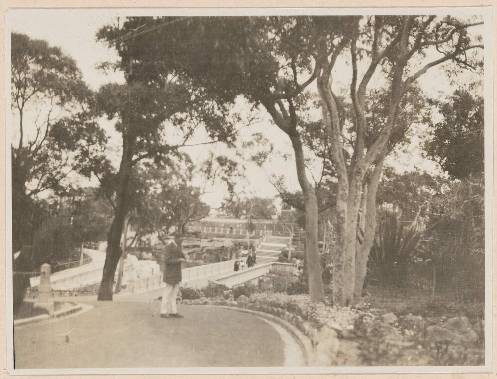 Taronga Park, Sydney