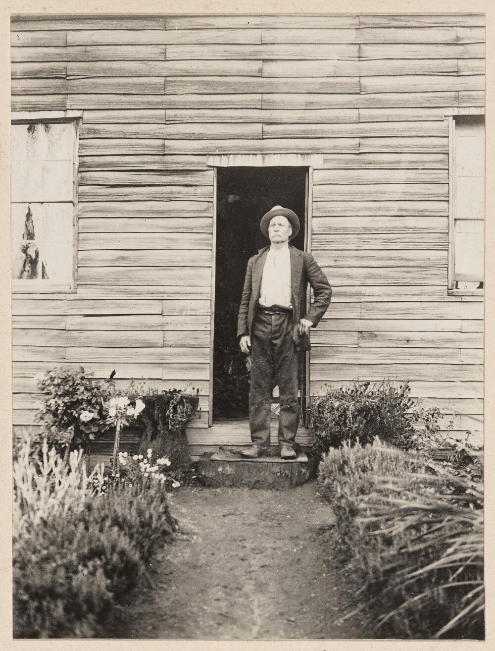 Bob Smith the bullocky