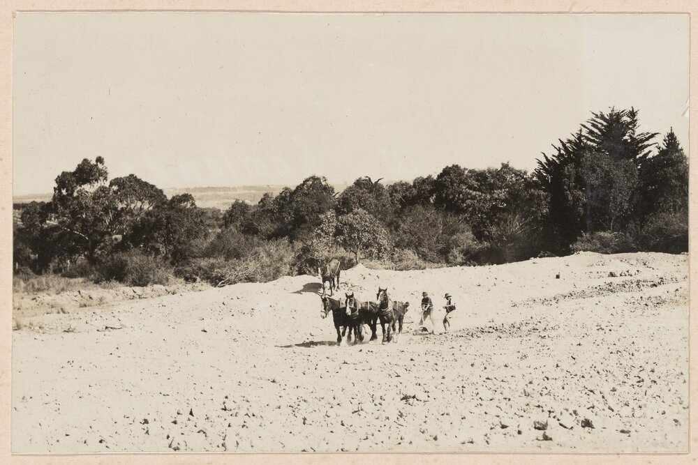The new dam being made [Westerfield]