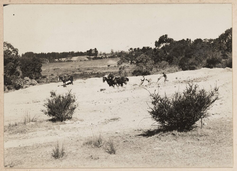 Working at the dam - Westerfield