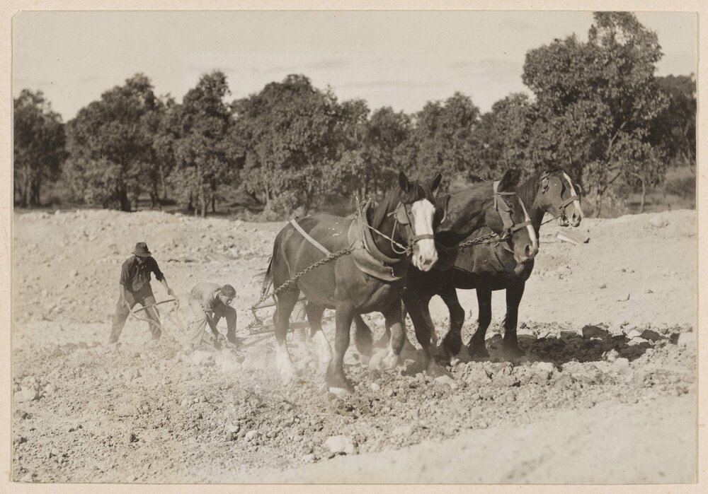 Working at the dam - Westerfield