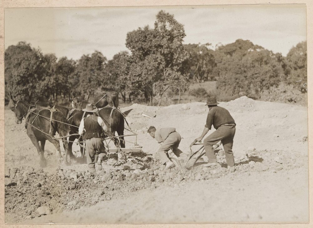 Working at the dam - Westerfield