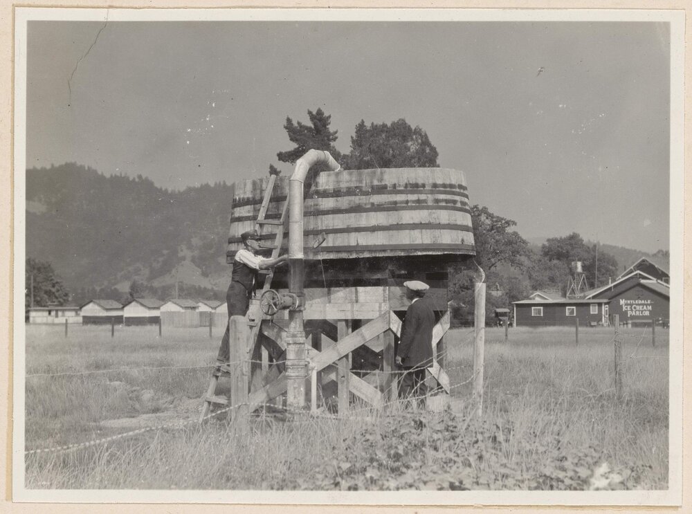 A Californian geyser
