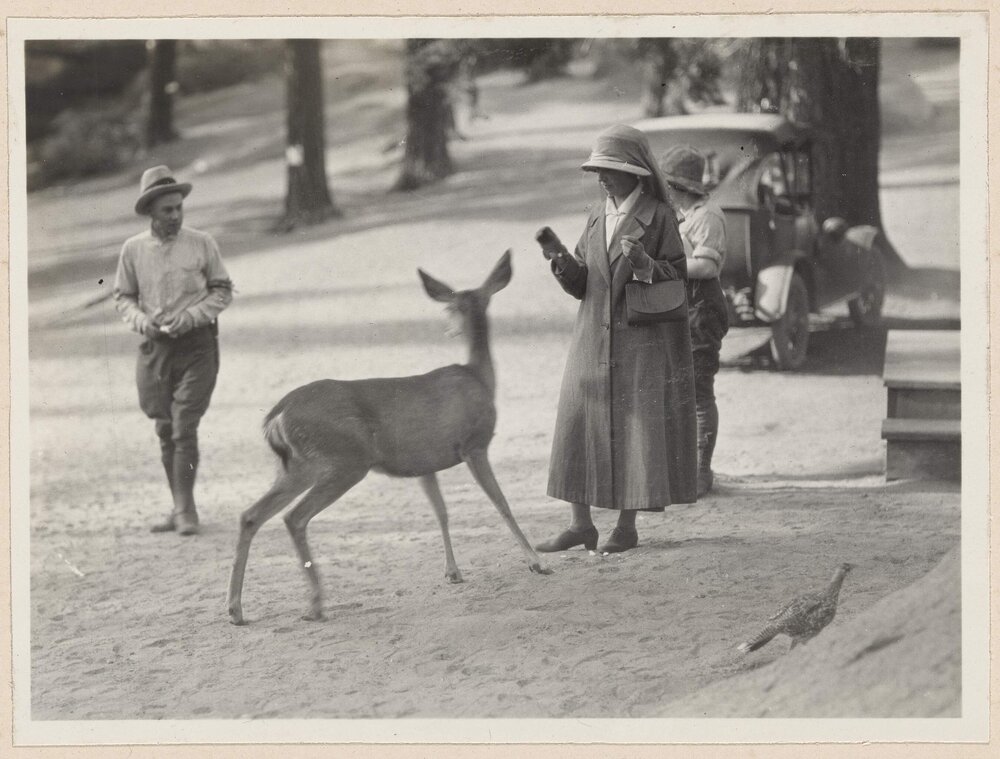 [At Glacier Point, Yosemite Valley]