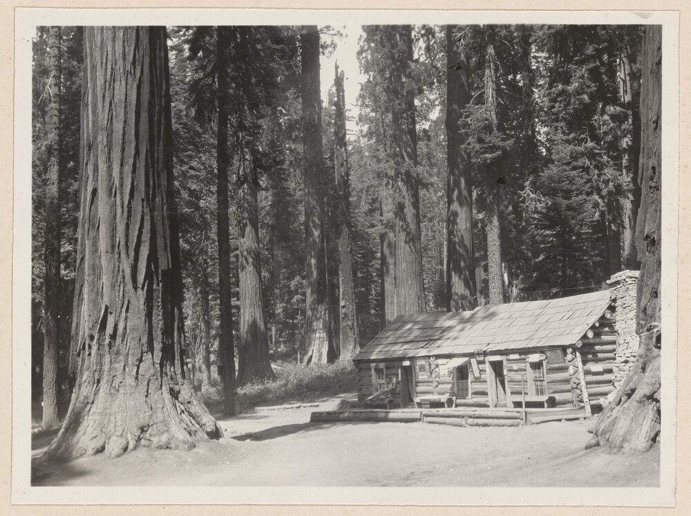 Galen Clark's Cabin, Mariposa Grove [Yosemite]