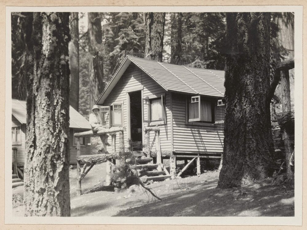 Mariposa Grove [Yosemite]