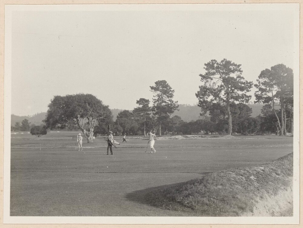 Del Monte Links