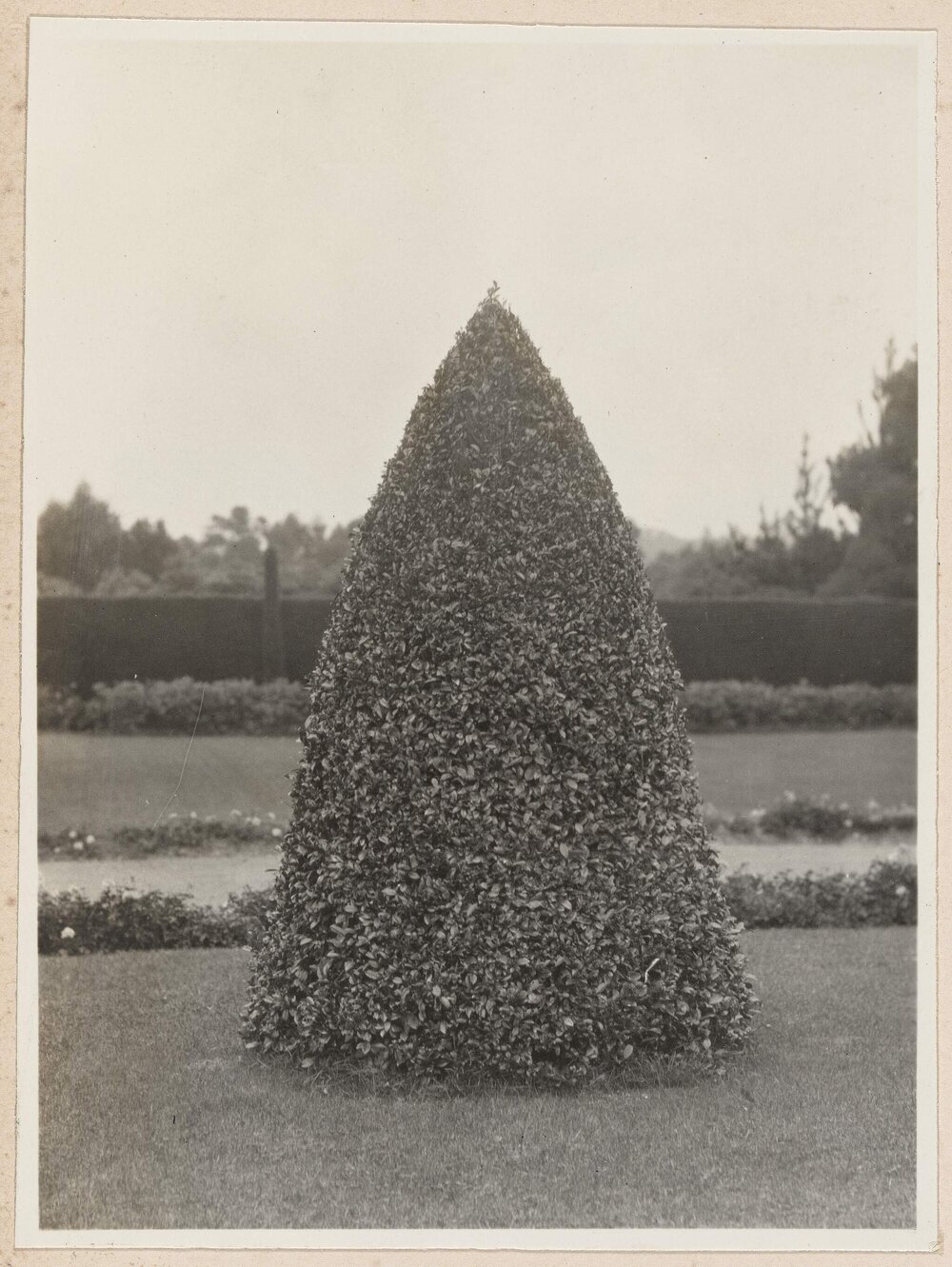 [Eugenia at Santa Barbara]