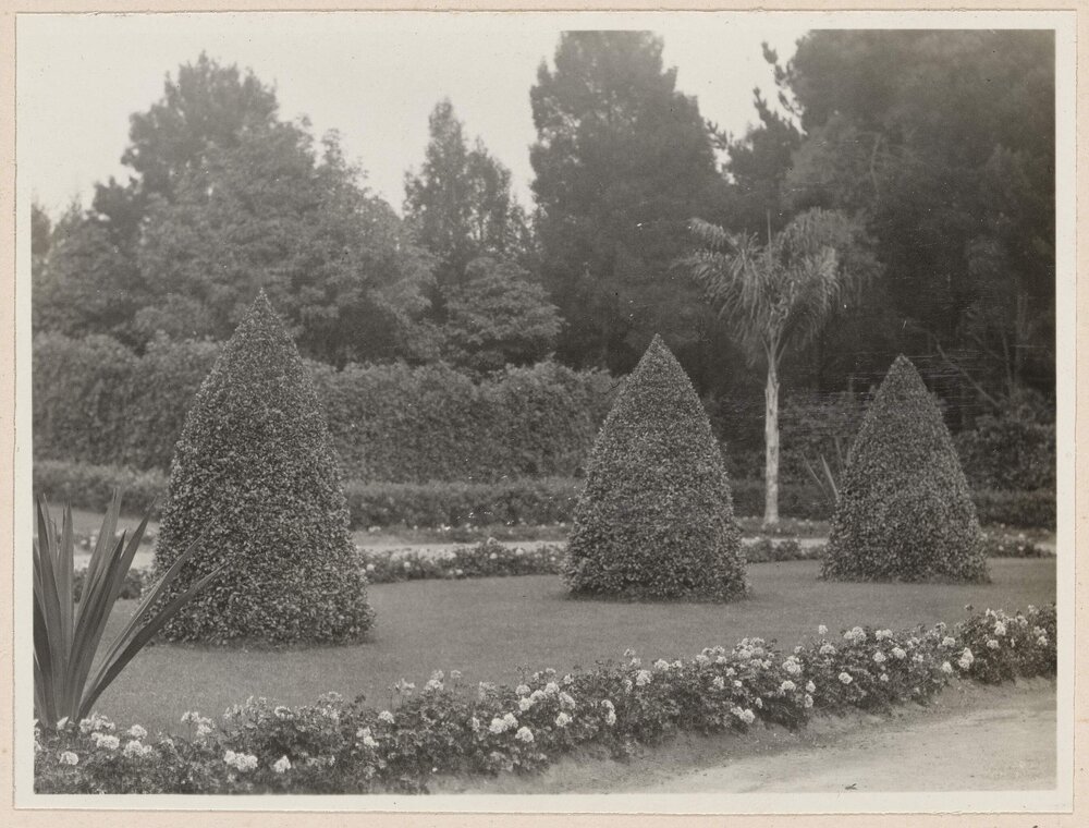 Eugenias at Santa Barbara