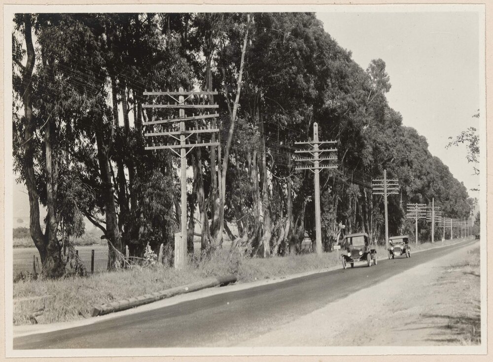 State Highway at Santa Barbara