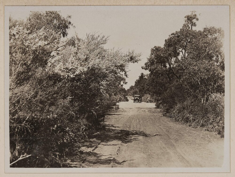 The Road to the Farm