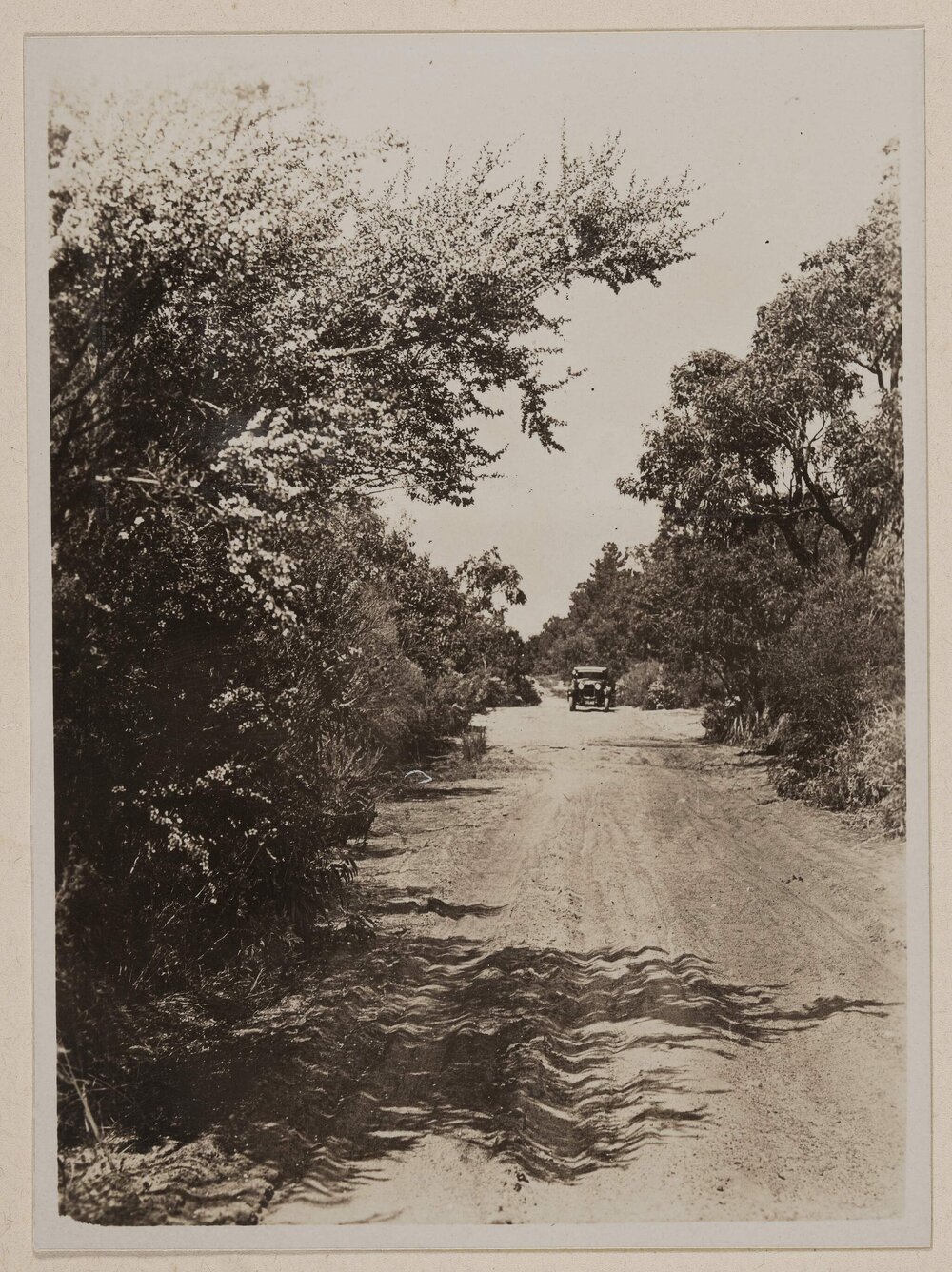 The Road to the Farm