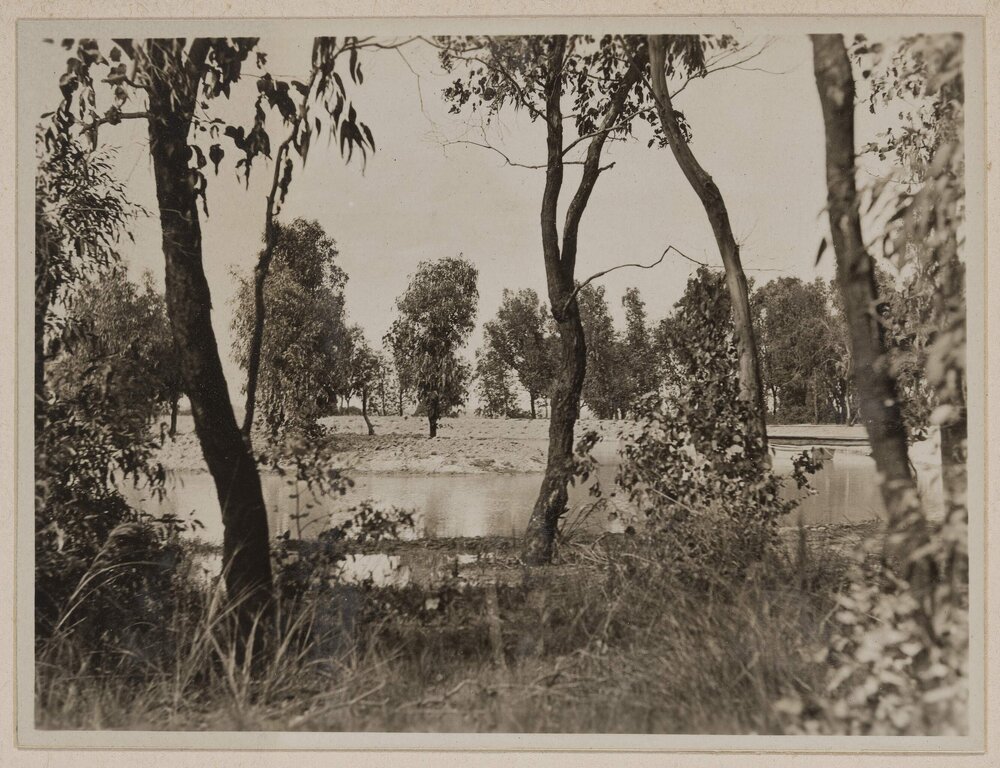 Westerfield [dam and jetty]