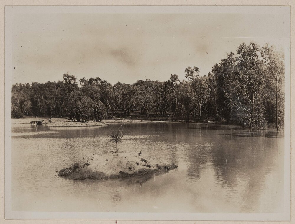 Westerfield [bushland]