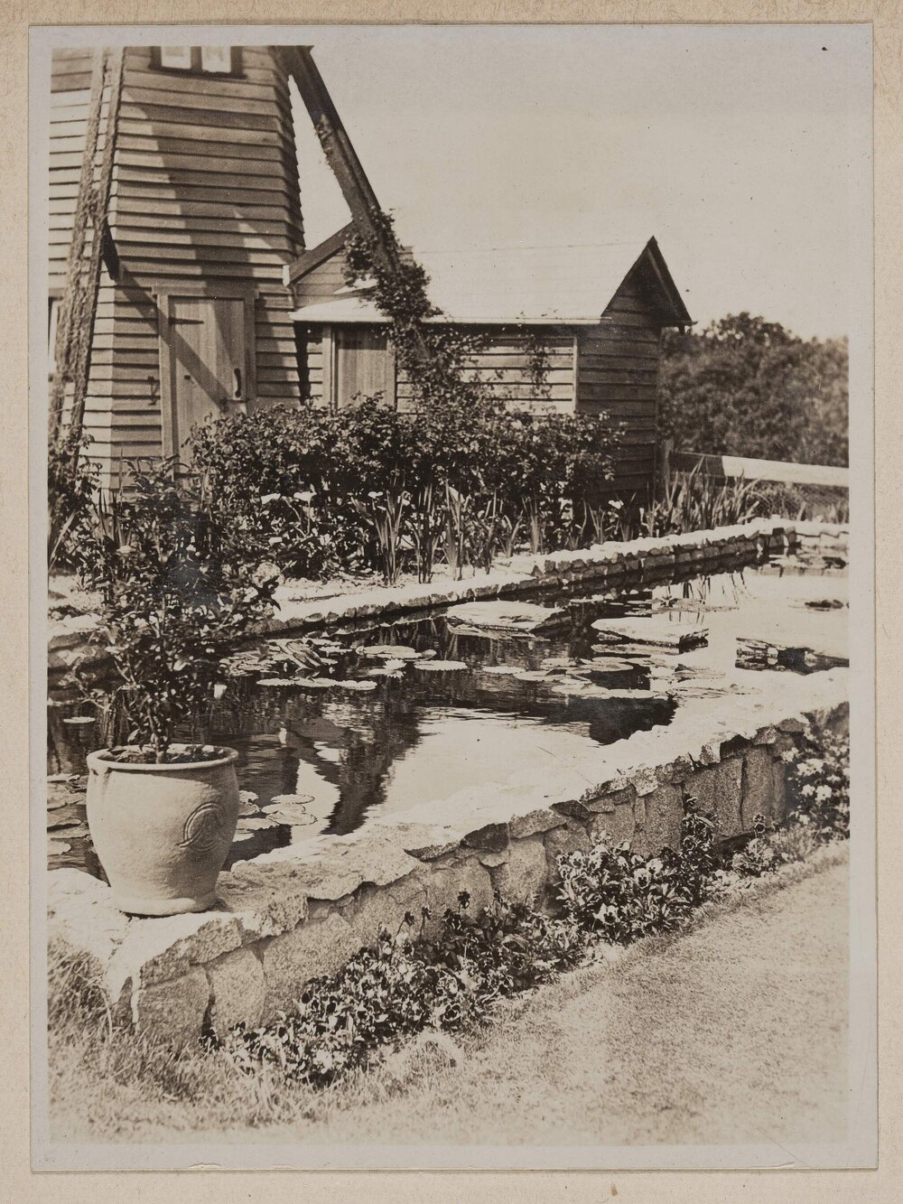 Westerfield lily pond