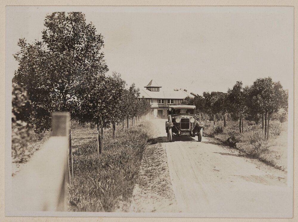 Westerfield [driveway]