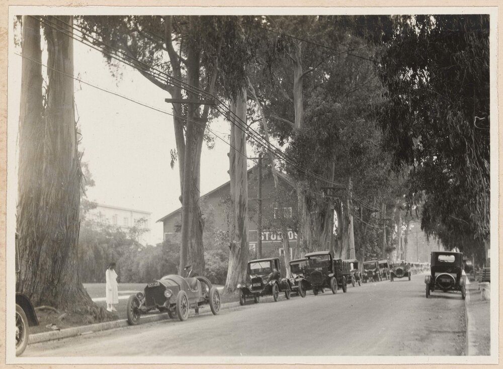 Street scenes at Hollywood