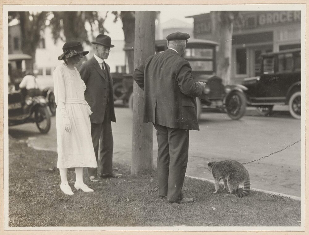 Street scenes at Hollywood