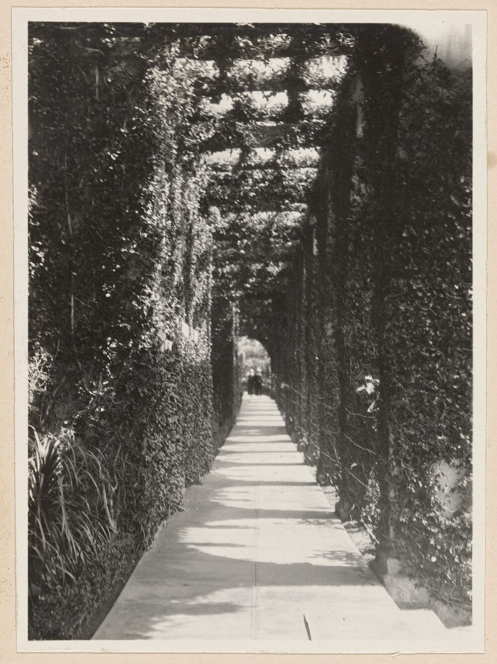 [Beverly Hills]