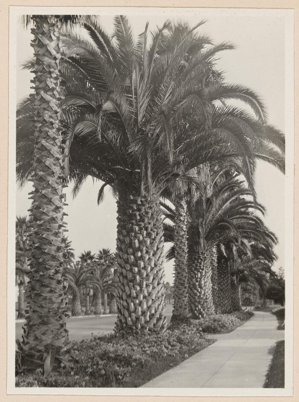 [Beverly Hills]