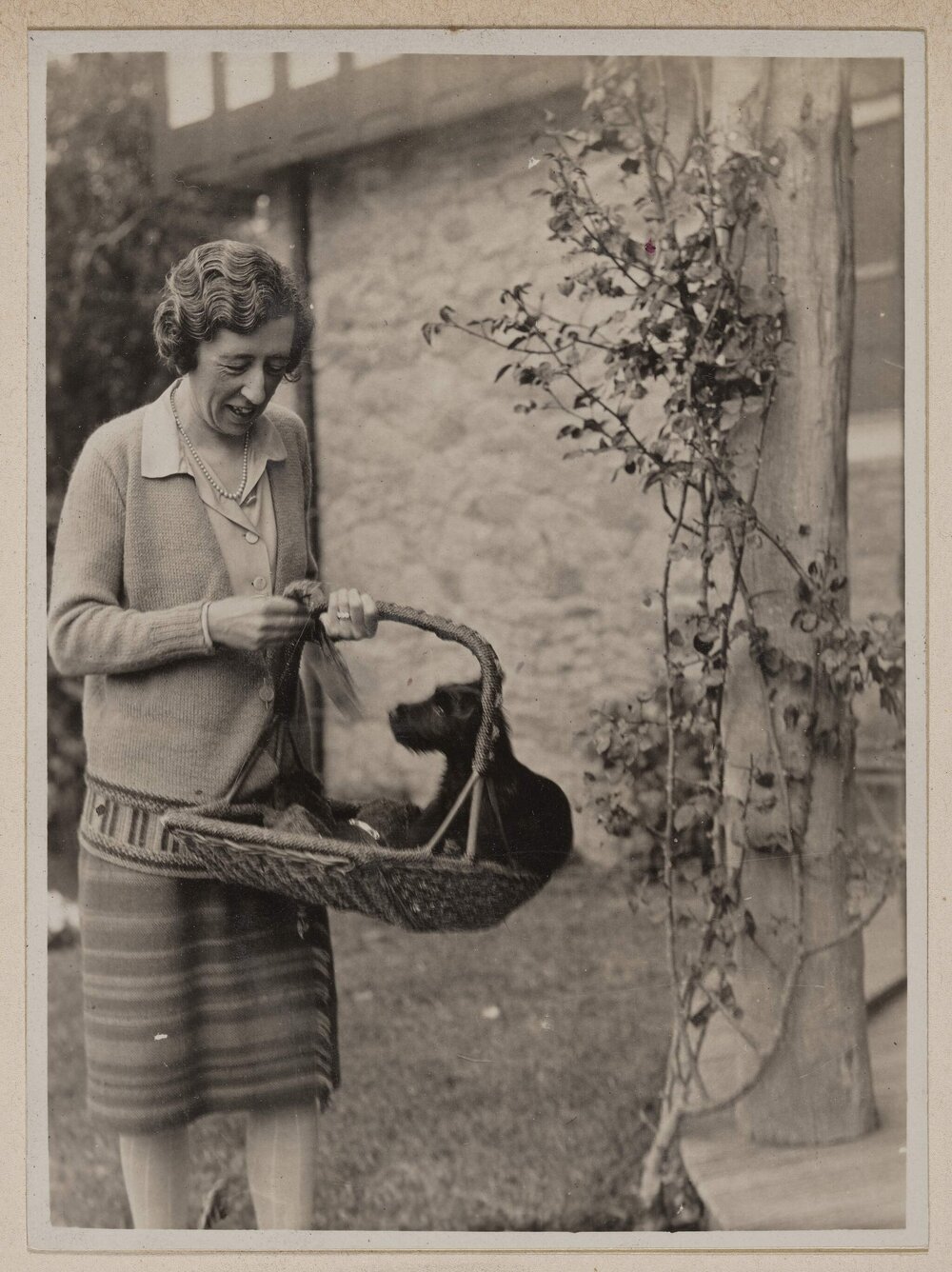 [Mabel with puppy in basket] Xmas [Westerfield]