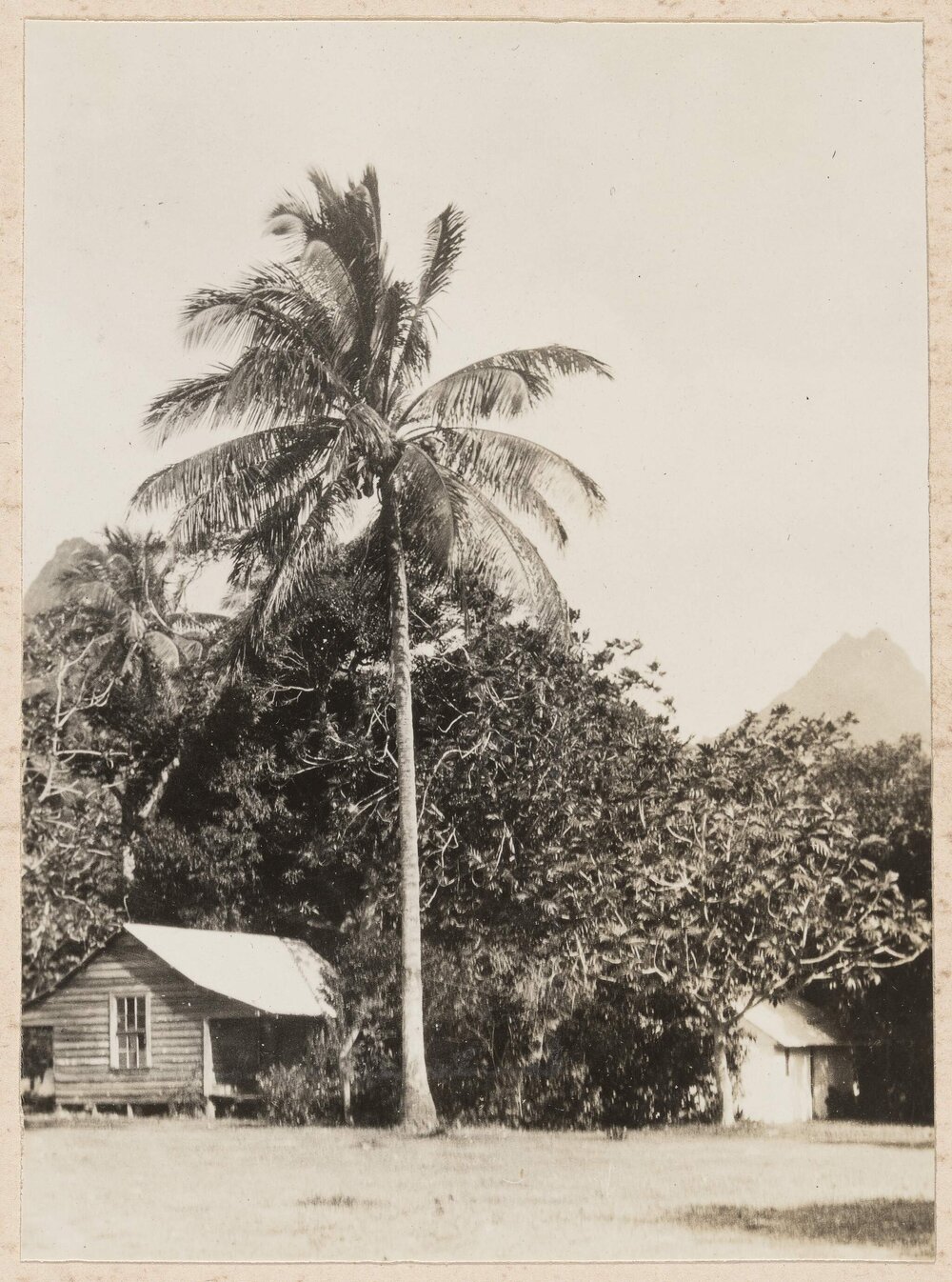 At Avarua - Rarotonga