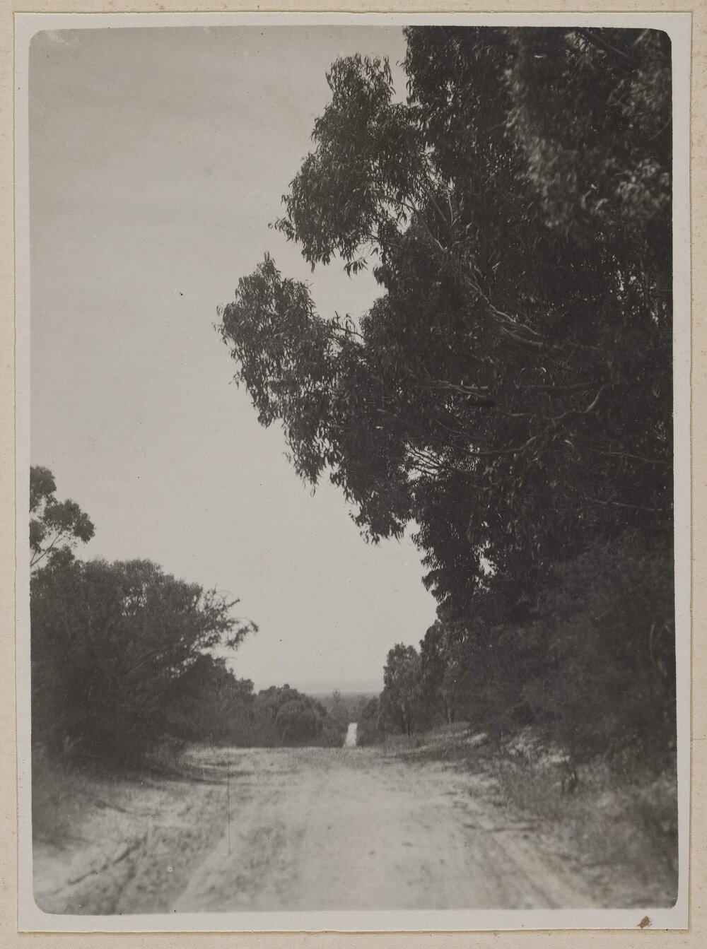 [View of long dirt road]