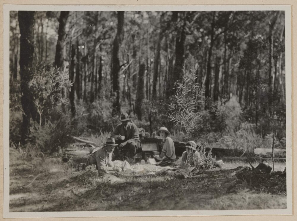 [Picnic at Nowa Nowa - Orbost Road]
