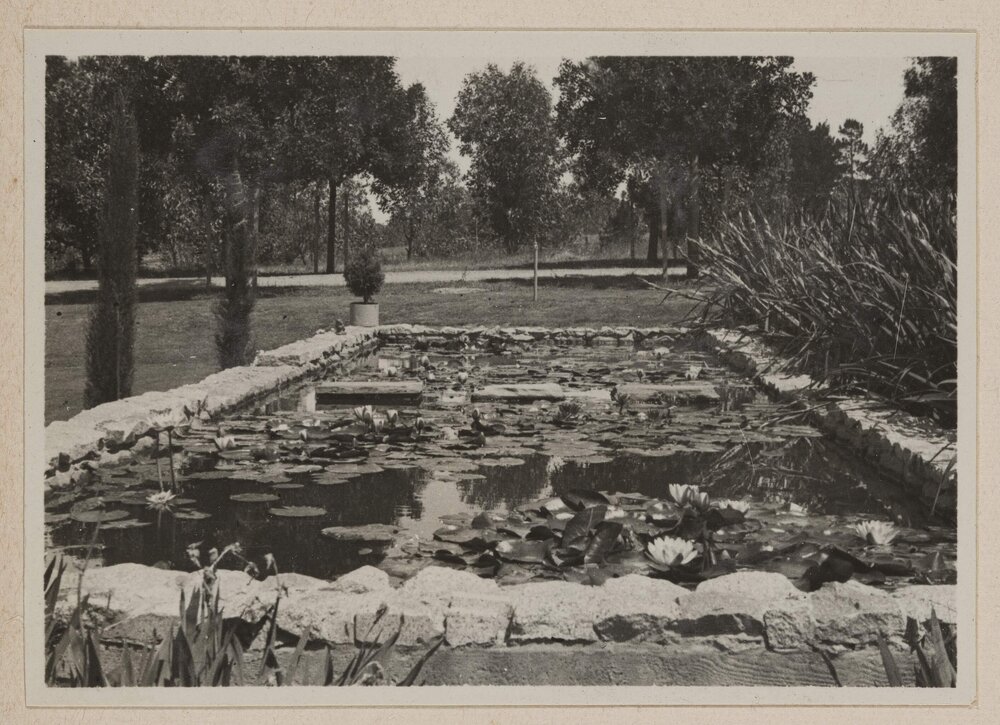 Westerfield [stone lily pond]