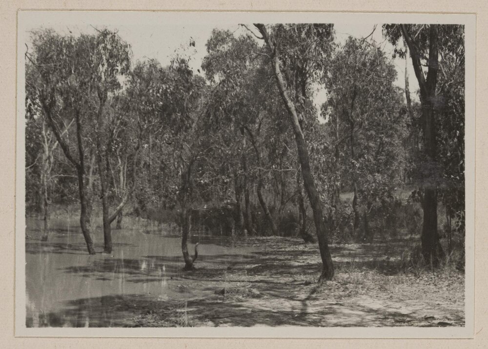 Westerfield [dam]