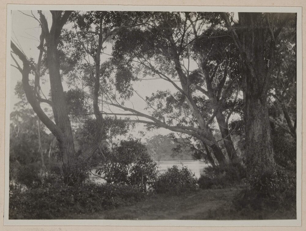 Snowy River, Marlo [Victoria]