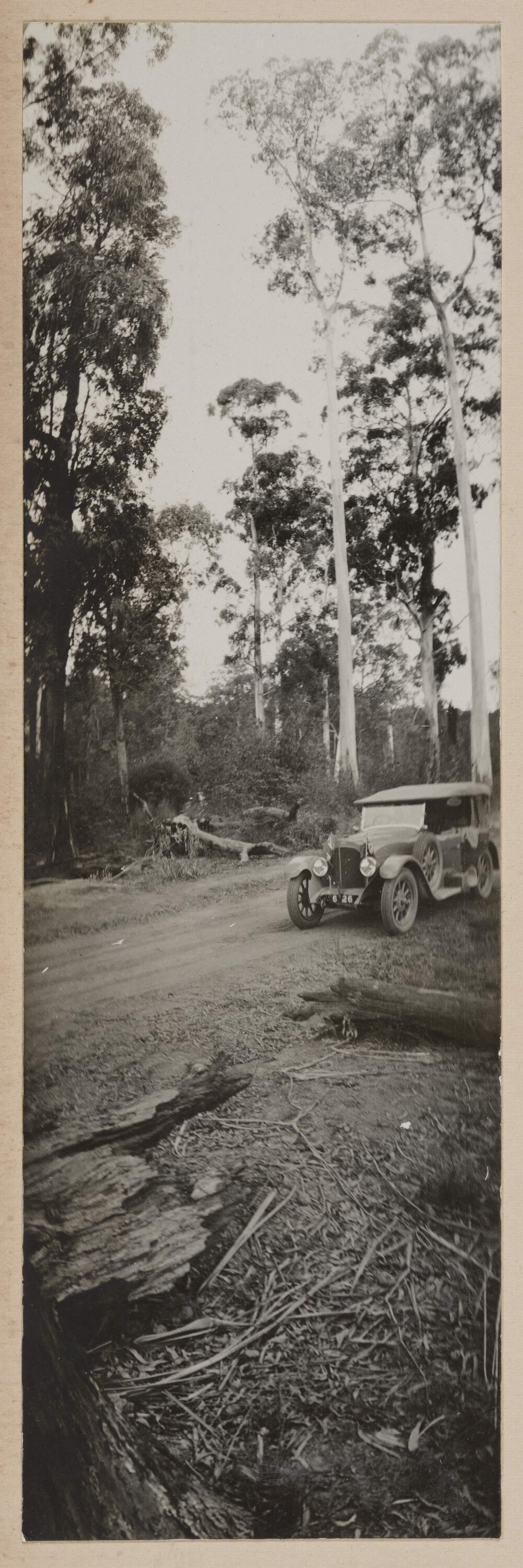 [Motor car on side of road]