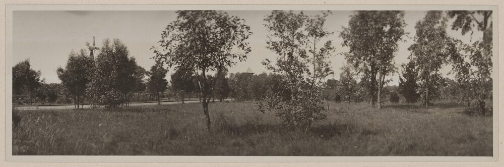 Panorama of Westerfield windmill beyond bushland
