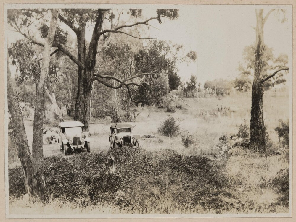 [Two motor cars parked in bushland]